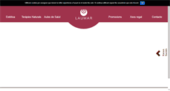 Desktop Screenshot of centrelaumar.com